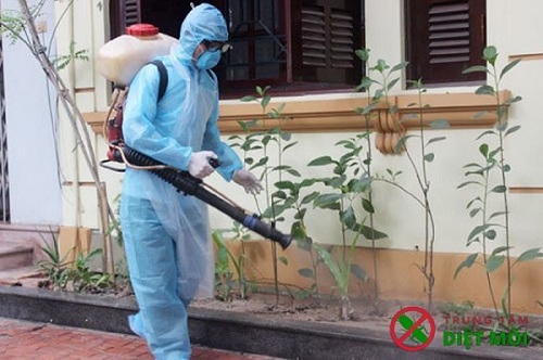 phun thuốc diệt muỗi tại quận Long Biên