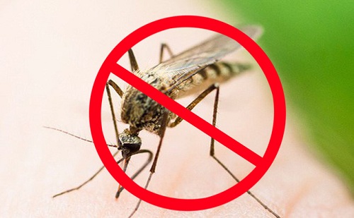 phun thuốc diệt muỗi tại quận Hà Đông