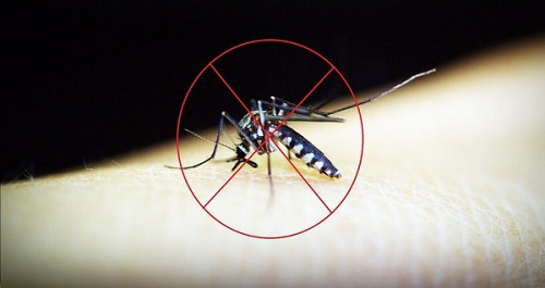 phun thuốc diệt muỗi tại quận Ba Đình