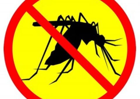 phun thuốc diệt muỗi tại quận Nam Từ Liêm