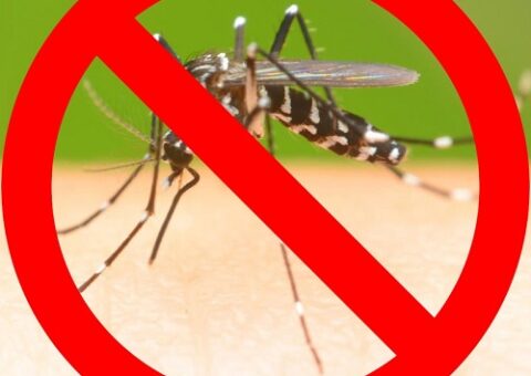 phun thuốc diệt muỗi tại quận 8