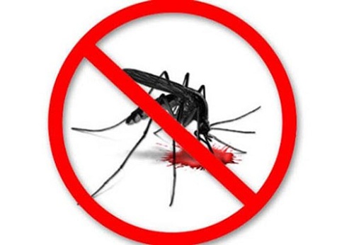 phun thuốc diệt muỗi tại quận Bắc Từ Liêm
