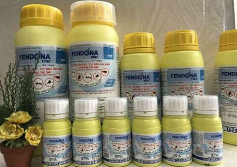 thuốc phun muỗi phòng dịch sốt xuất huyết