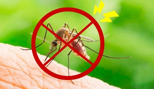phun thuốc diệt muỗi tại quận 10