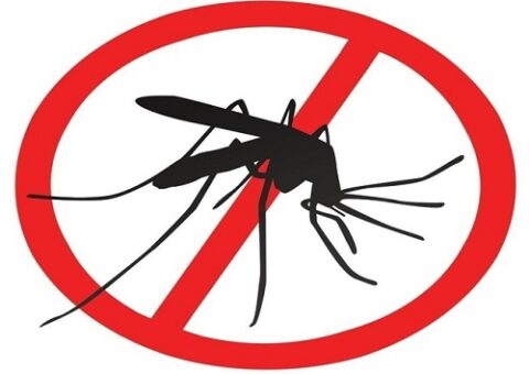 phun thuốc diệt muỗi tại quận Tân Bình
