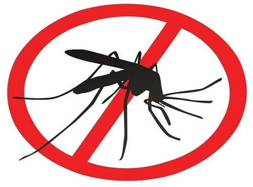 phun thuốc diệt muỗi tại quận Tân Bình
