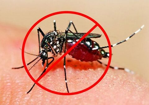 phun thuốc diệt muỗi tại quận Thủ Đức