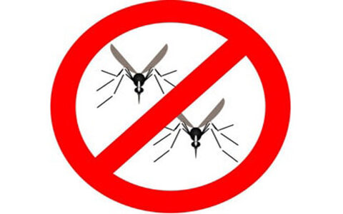 phun thuốc diệt muỗi tại quận 11
