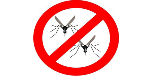 phun thuốc diệt muỗi tại quận 11