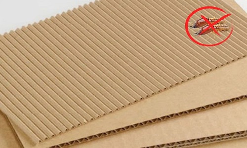Cách diệt mối gỗ bằng bìa carton