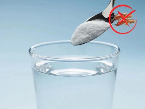 Cách diệt mối không dùng thuốc bằng nước muối