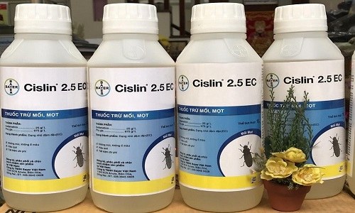 Thuốc diệt mọt gỗ Cislin 2.5EC 